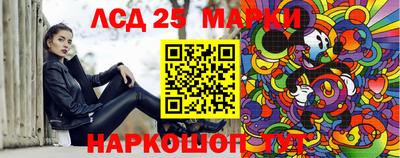 гидропоника Тула