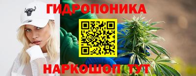 гидропоника Тула