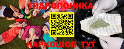 гидропоника Тула