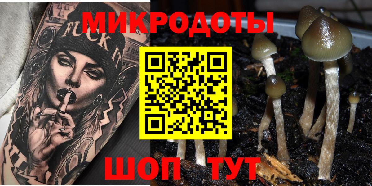 Галлюциногенные грибы мицелий  Псилоцибиновые грибы Psilocybe  Ноябрьск  закладка  Вход с VPN 