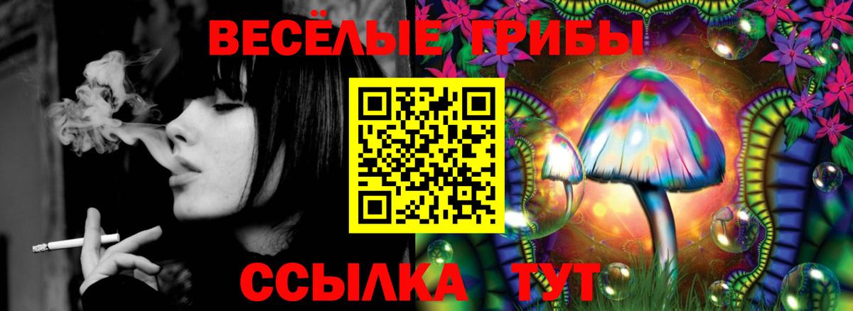 Галлюциногенные грибы Magic Shrooms Ноябрьск